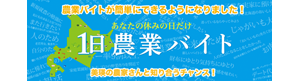 1日農業バイトdaywork